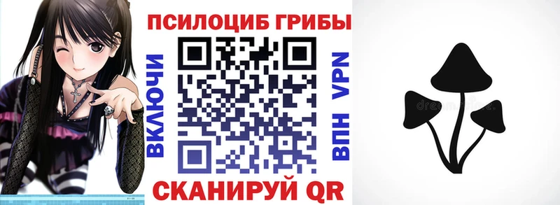 Псилоцибиновые грибы GOLDEN TEACHER  Купить  Гусев 