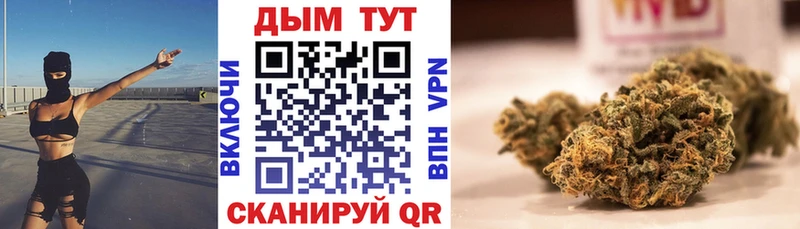 Купить где  Гусев  Бошки Шишки гибрид 